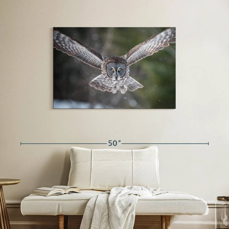 Brampt Flying Winter Owl, 26" H x 39" W