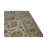 Oriental Indoor Rug