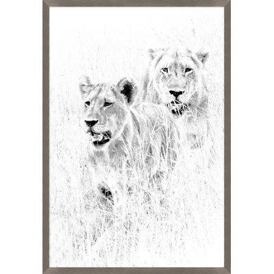 Wild Calling 3 par Thom Filicia - Photographie encadrée sur papier