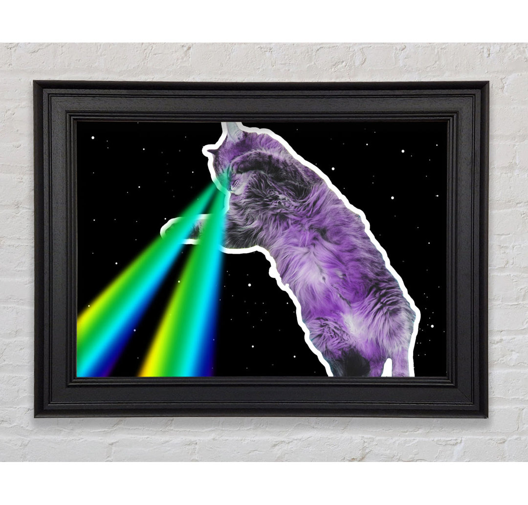 Katze Lazer Beam Space Gerahmter Druck