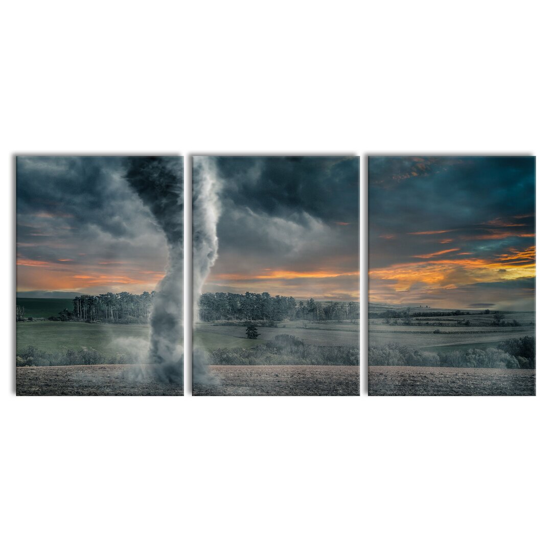 3-tlg. Leinwandbilder-Set Black Tornado on a Field