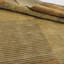 Wasif Area Rug in Brown