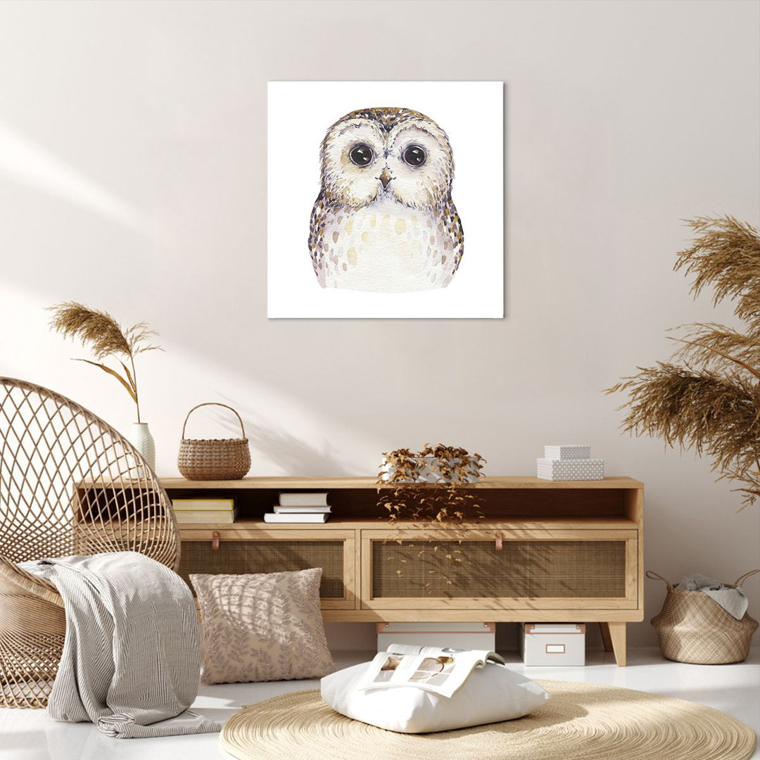 Leinwandbild Owl Tawny Owl