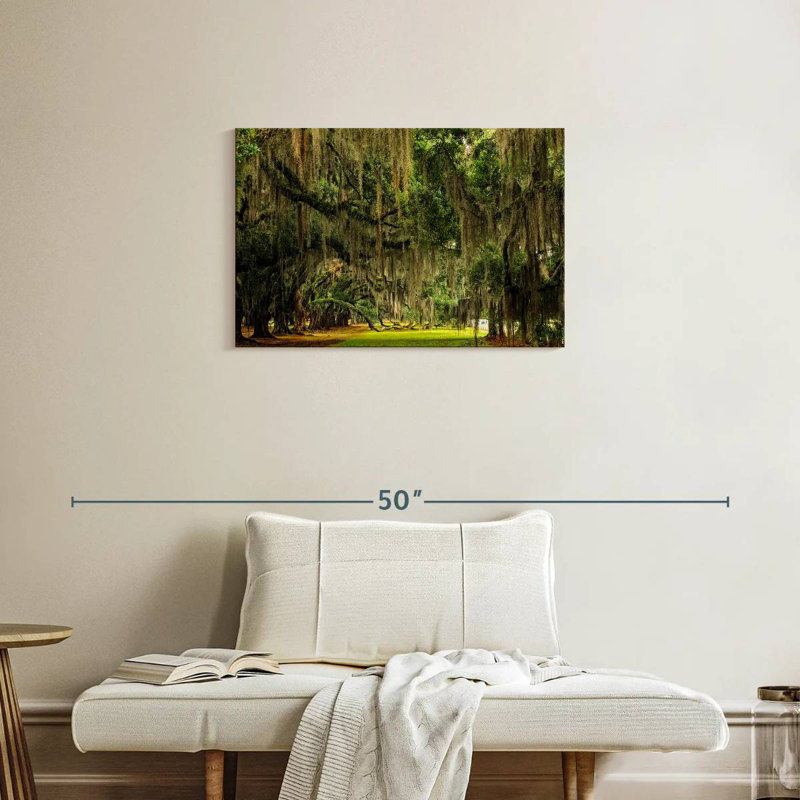 Sireci Spanish Moss, 20" H x 30" W