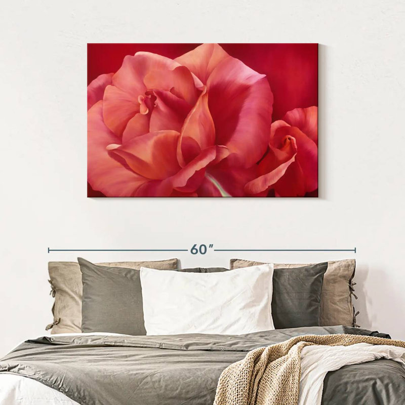 Harnek rose brillant, H 30 po x l 45 po