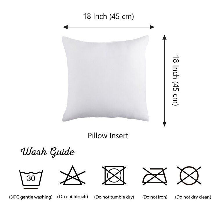 Iraan Square Pillow Insert Alwyn Home