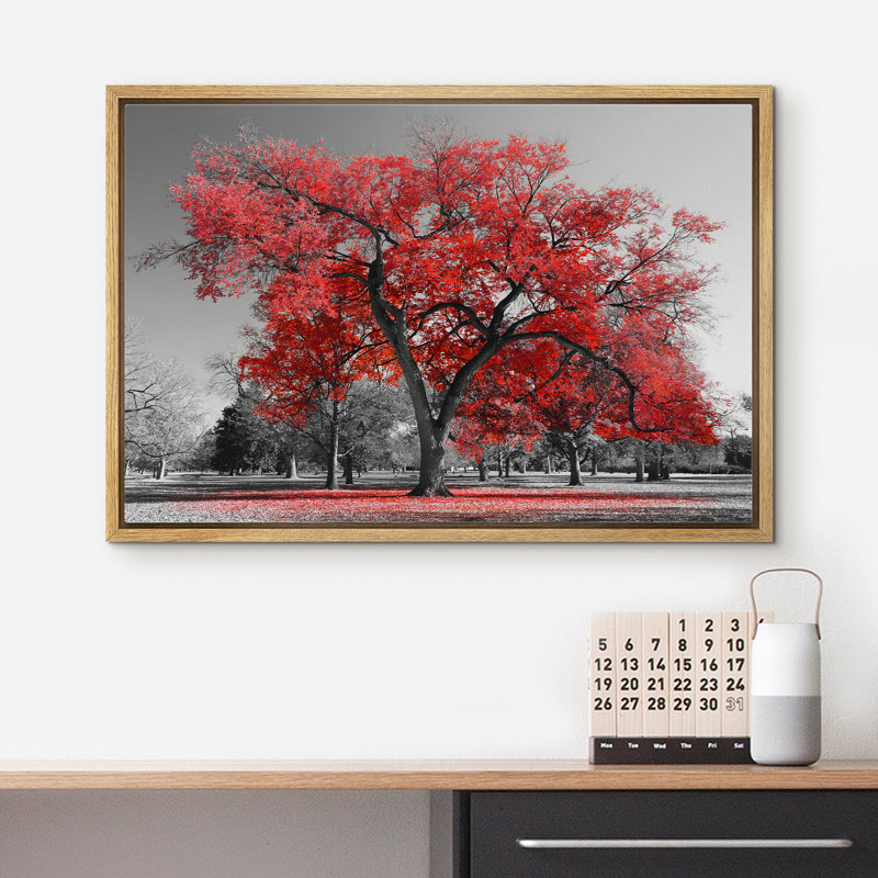 Arbre rouge sur fond de parc noir et blanc, Cadre naturel flottant, H 16 po x l 24 po