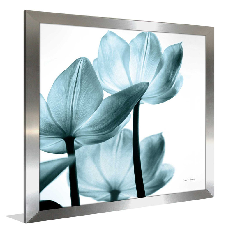 «Translucent Tulips III Sq Aqua Crop», reproduction de photo sur toile tendue, H 21,5 po x l 21,5 po x P 0,75 po