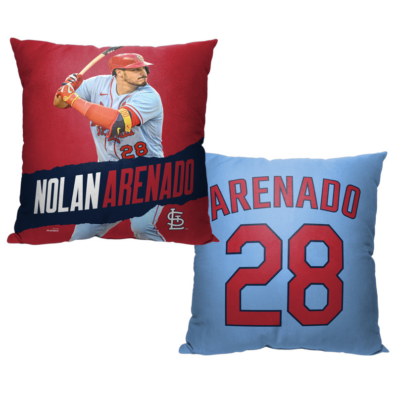 Reversible Pillow Cover