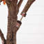 Arbre d'automne-1230477471