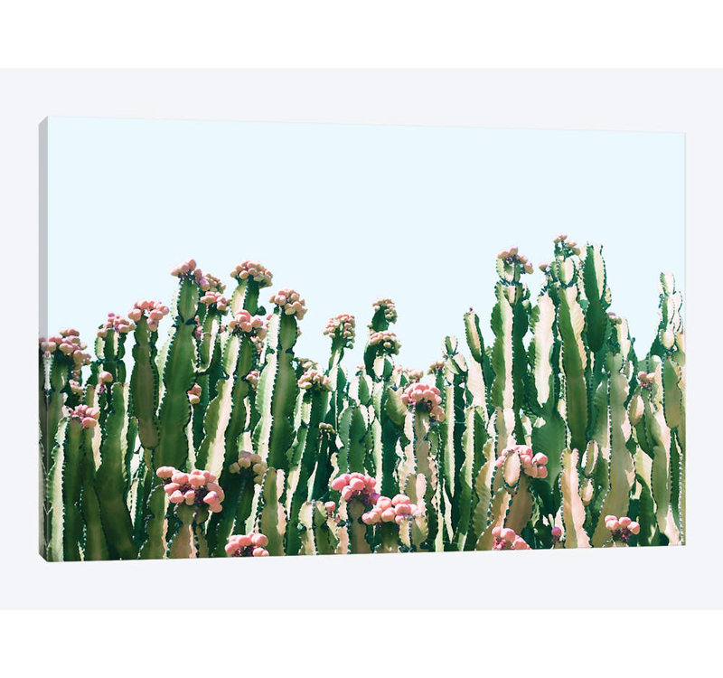" Cactus Blush ", 40" H x 60" W x 1.5" D, Wrapped Canvas, No Mat