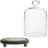 Mini Glass Dome Display Cloche