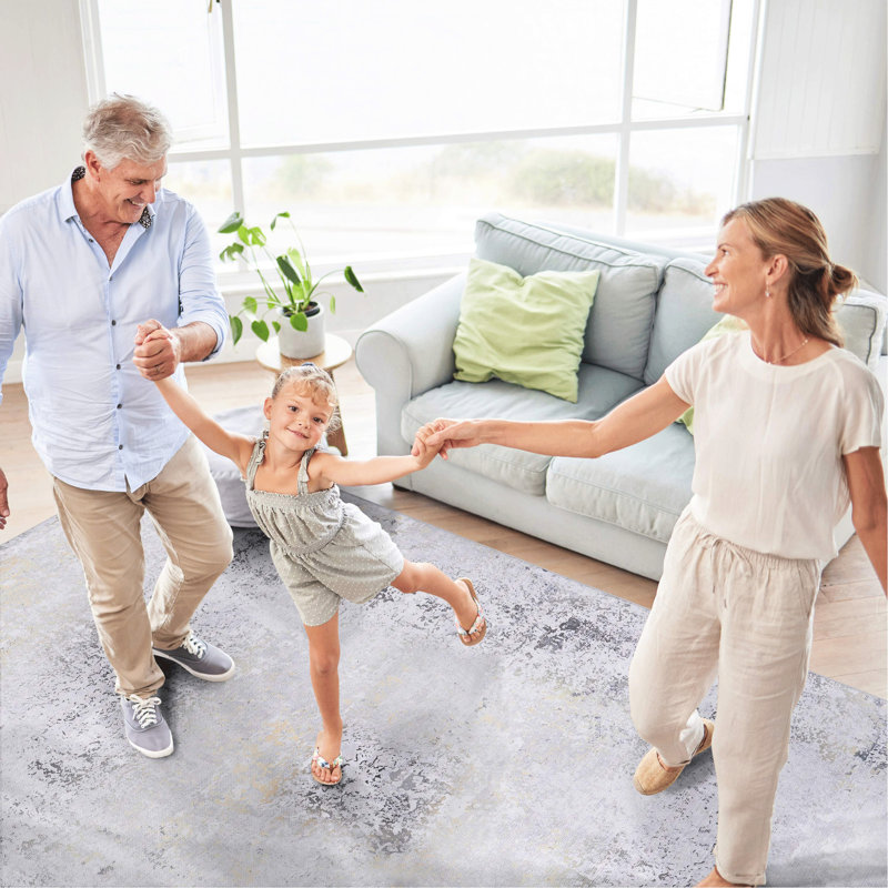 Tapis de couloir lavable 2 pi 6 po x 10 pi, à poils courts ne perdant pas ses poils pour la chambre à coucher et le salon - Cuisine grise