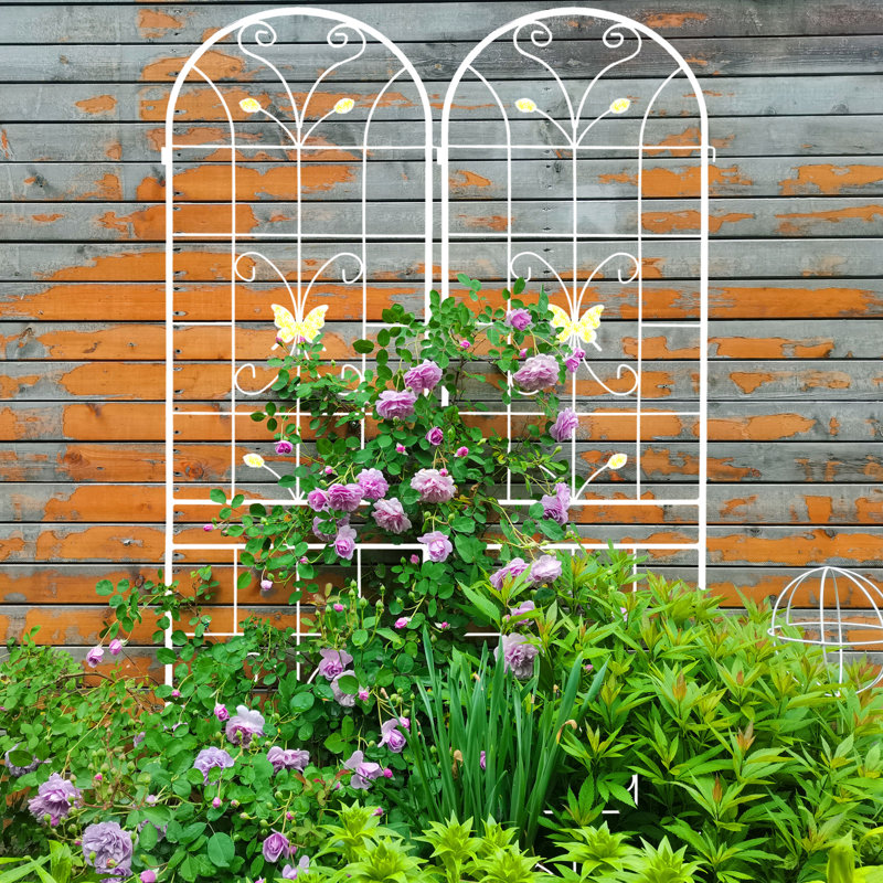 Cream White Metal Garden Trellis 4 Pack 86.7" X 19.7" Rustproof For Themes Gardens