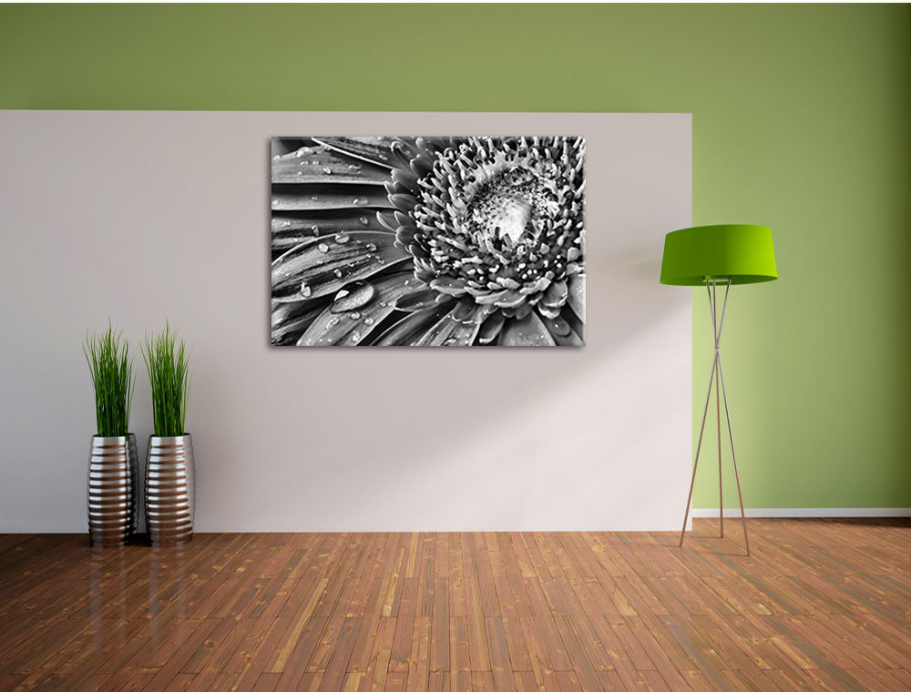 Leinwandbild Red Flower Gerbera Sunshine Gras Blumen in Monochrom