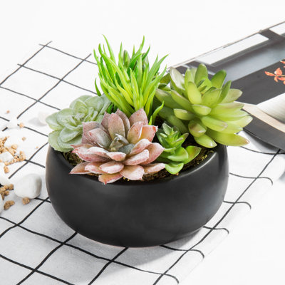 Plante succulente artificielle 2,9 "en pot