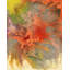 Coral Burst II Painting-98918027