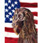 2 côtés en polyester de 2 côtés american drapeau de jardin-1288238544