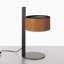 Parallel Table Lamp-458789118