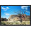 Sylvia Cook - Single Picture Frame Print-25192622