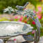 Bain d'oiseaux Friedewald-644874593