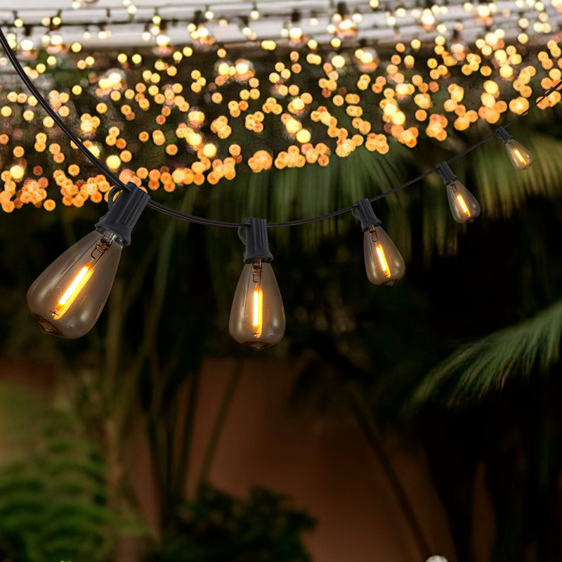 10' Outdoor 10 - Bulb Standard String Light (End to End Connectable), Black, Clear