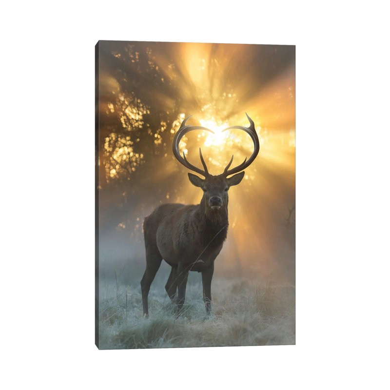 Heart Shaped Antlers Flare by Max Ellis - Wrapped Canvas Painting, 30.48cm H x 20.32cm W x 1.905cm D