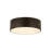 Hadsell Flush Mount-17334484