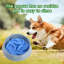 Bol pour chien à alimentation lente avec ventouse à poulpe-119701764