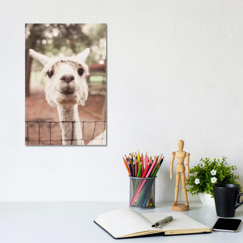 Smiling Alpaca by Melissa Hanley - Wrapped Canvas Print, 20.32 cm H x 30.48 cm W
