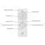 Clarra 52'' Ceiling Fan with LED Lights-2046170367