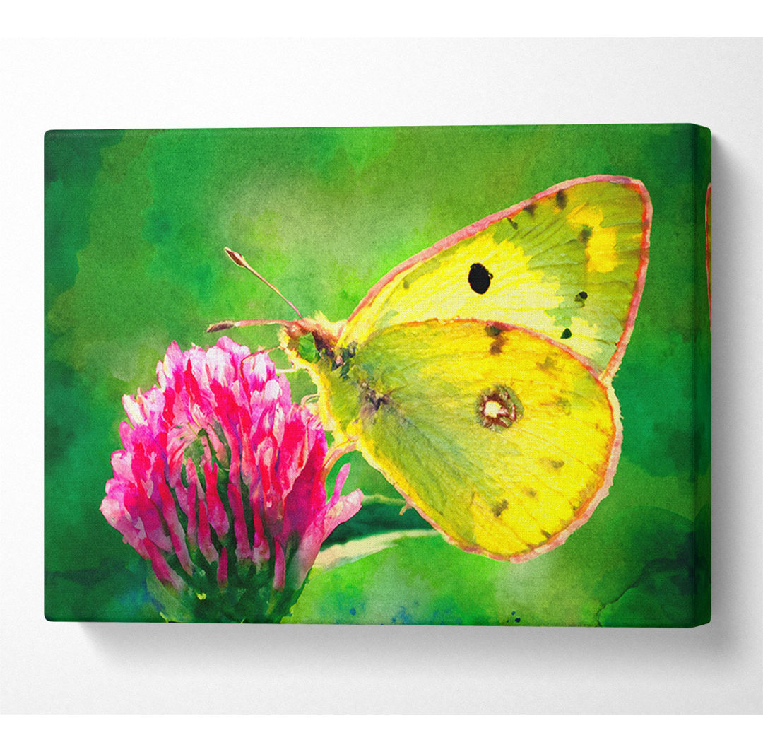 Colias Hyale Butterfly - Kunstdrucke auf Leinwand