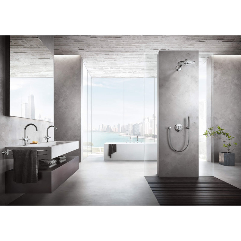 Sena Full/Standard Handheld Shower Head, Polished Nickel