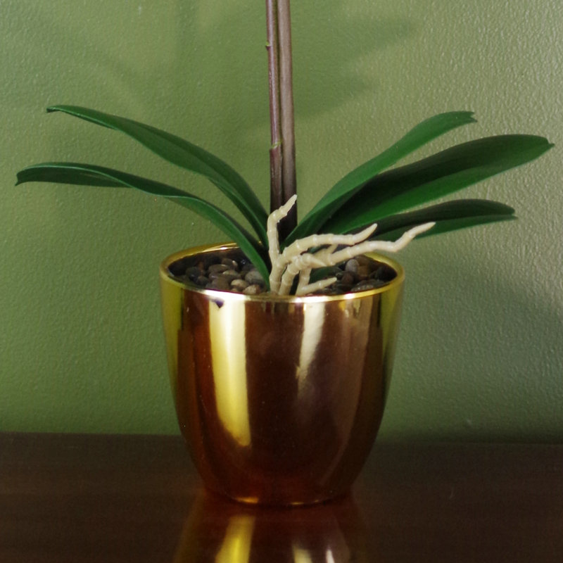 48cm Faux Plant in Pot, White, 46cm H x 15cm W x 15cm D