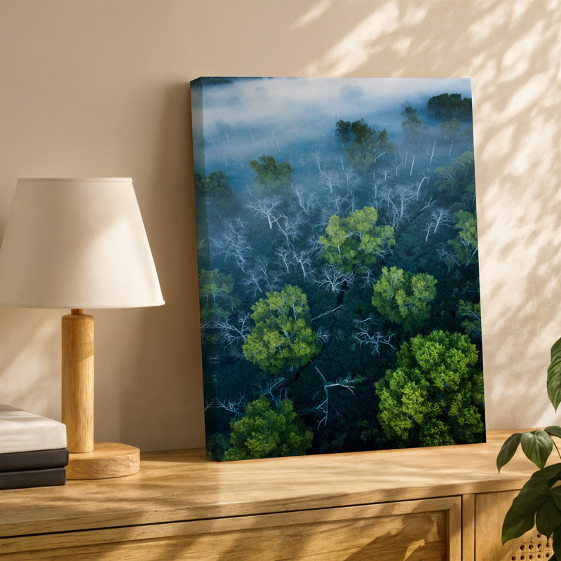 Toile, vue aérienne d'un paysage de marais dense présentant un art mural en réseau de branches d'arbres dénudées torsadées entrecoupées de toile vibrante