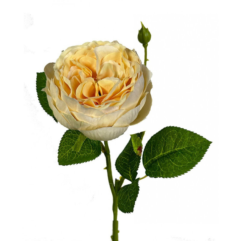 Fleur artificielle English Garden Rose, Crème au beurre