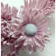 Fausse couronne élégante fleurs de marguerite avec anneau doré