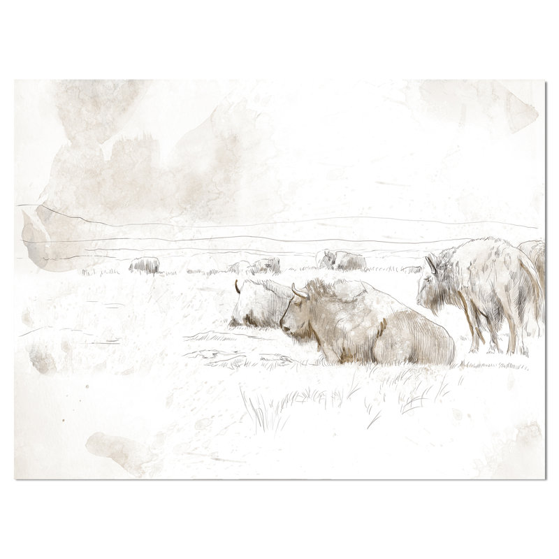 Wild Bison Buffalo - reproduction d'art, H 20 po x l 20 po x P 1 po, Toile tendue
