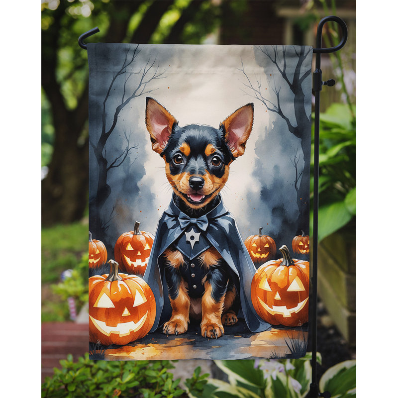 Drapeau de jardin chiot Halloween, Pinscher miniature