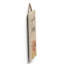 Souvenance Animals Box Signs & Plaques