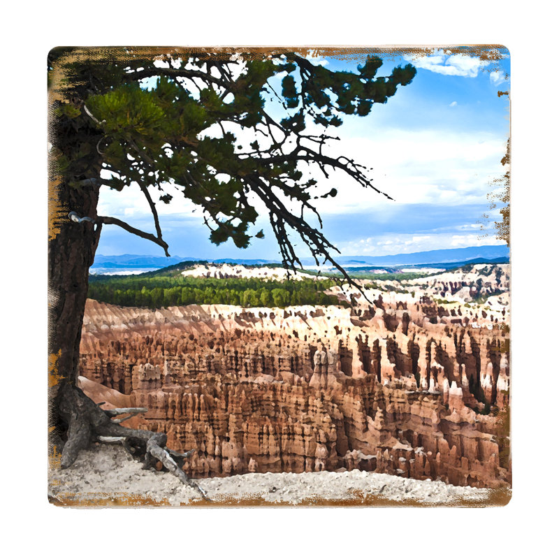 Porte-verres canyon tree