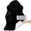 Tapis noir en peau de mouton Bershire-70493699