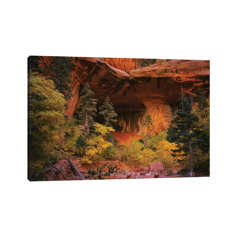 Trees in Front of a Cave, Zion National Park, Utah, USA 1 Piece Wrapped Canvas Wall Art, 101.6 cm H x 66.04 cm W x 3.175 cm D