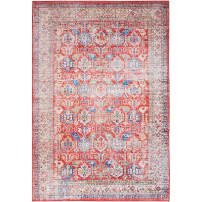 Oriental Indoor Rug
