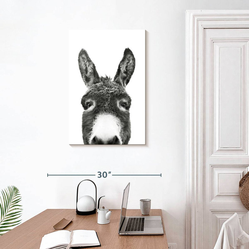Âne Brampt regardant en noir et blanc, H 30 po x l 20 po