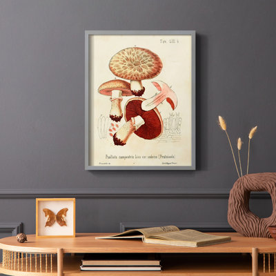 Reproduction encadrée Mushroom Variétés II - bois massif
