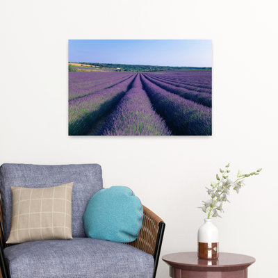 Lavender Field Provence-Alpes-Cote D'azur France Abstract Contemporary Flower Landscape Art