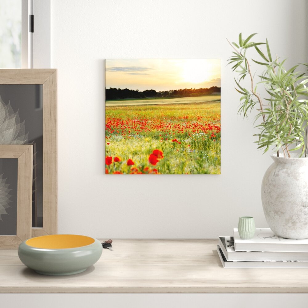 Glasbild Poppy Field