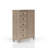 5 Drawer Door Chest