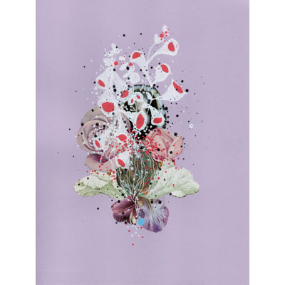Sea Lace Print by Jenny Brown